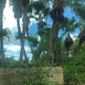 Meet your Posher, Lorena